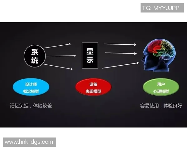 深圳篮球队心理素质排名第五揭示球队成功背后的心理因素与挑战 深圳篮球队心理素质排名第五揭示球队成功背后的心理因素与挑战